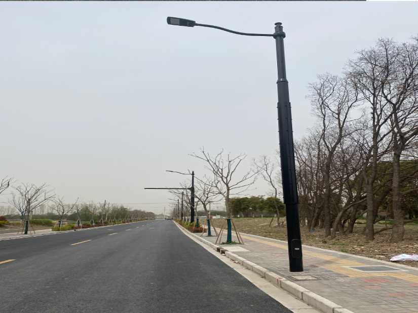 温岭市上海综合杆 太阳能路灯工程